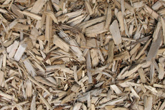 biomass boilers Prenteg