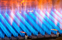 Prenteg gas fired boilers